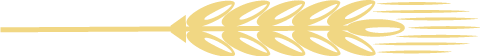 1LXFYR